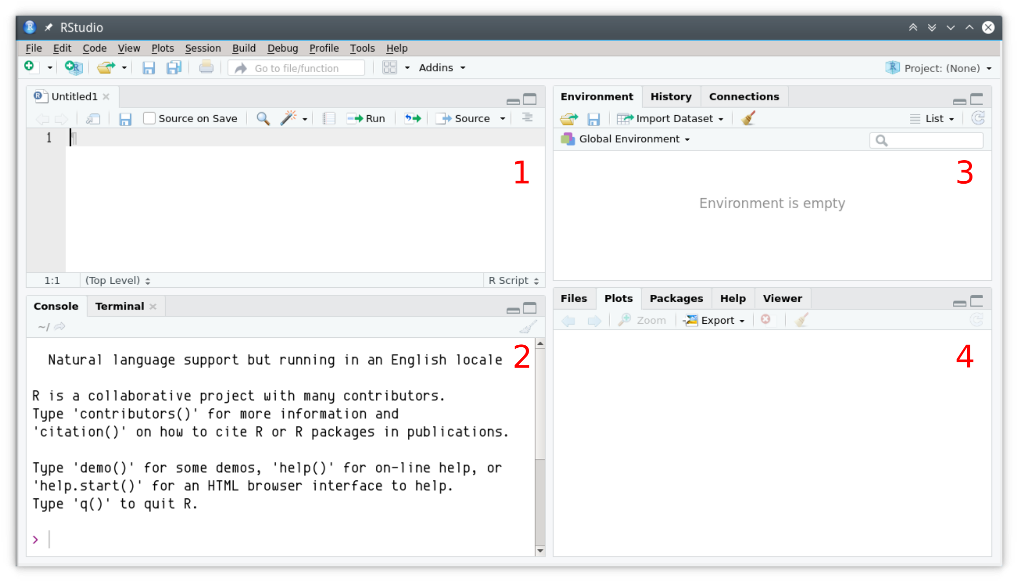 Interfase principal de **RStudio**